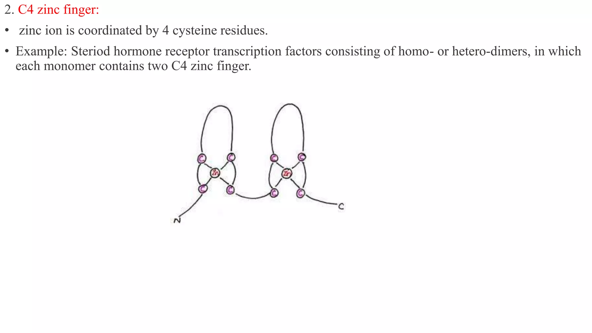 2. C4 zinc finger:
• zinc ion is coordinated by 4 cysteine residues.
• Example: Steriod hormone receptor transcription factors consisting of homo- or hetero-dimers, in which
each monomer contains two C4 zinc finger.
 