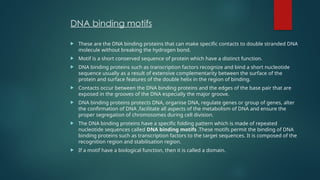 DNA BINDING MOTIFS (Transcription factors) | PPTX