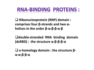 Dna binding sale motifs ppt