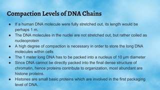 DNA assembly
The process of putting fragments of DNA that have been sequenced into their
correct chromosomal positions. Th...