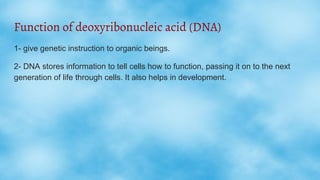 Function of deoxyribonucleic acid (DNA)
1- give genetic instruction to organic beings.
2- DNA stores information to tell c...