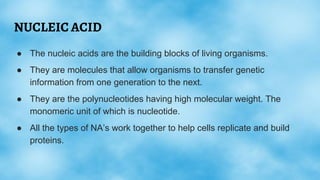 NUCLEIC ACID
● The nucleic acids are the building blocks of living organisms.
● They are molecules that allow organisms to...