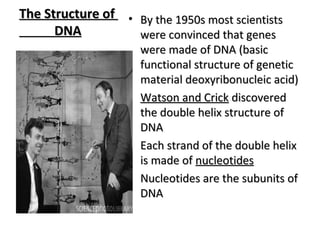 TThhee SSttrruuccttuurree ooff 
DDNNAA 
• BByy tthhee 11995500ss mmoosstt sscciieennttiissttss 
wweerree ccoonnvviinncceedd tthhaatt ggeenneess 
wweerree mmaaddee ooff DDNNAA ((bbaassiicc 
ffuunnccttiioonnaall ssttrruuccttuurree ooff ggeenneettiicc 
mmaatteerriiaall ddeeooxxyyrriibboonnuucclleeiicc aacciidd)) 
• WWaattssoonn aanndd CCrriicckk ddiissccoovveerreedd 
tthhee ddoouubbllee hheelliixx ssttrruuccttuurree ooff 
DDNNAA 
• EEaacchh ssttrraanndd ooff tthhee ddoouubbllee hheelliixx 
iiss mmaaddee ooff nnuucclleeoottiiddeess 
• NNuucclleeoottiiddeess aarree tthhee ssuubbuunniittss ooff 
DDNNAA 
 