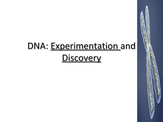 DDNNAA:: EExxppeerriimmeennttaattiioonn aanndd 
DDiissccoovveerryy 
 