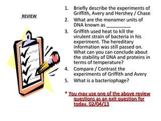 REVIEW 
11.. BBrriieeffllyy ddeessccrriibbee tthhee eexxppeerriimmeennttss ooff 
GGrriiffffiitthh,, AAvveerryy aanndd HHeerrsshheeyy // CChhaassee 
22.. WWhhaatt aarree tthhee mmoonnoommeerr uunniittss ooff 
DDNNAA kknnoowwnn aass __________________ 
33.. GGrriiffffiitthh uusseedd hheeaatt ttoo kkiillll tthhee 
vviirruulleenntt ssttrraaiinn ooff bbaacctteerriiaa iinn hhiiss 
eexxppeerriimmeenntt.. TThhee hheerreeddiittaarryy 
iinnffoorrmmaattiioonn wwaass ssttiillll ppaasssseedd oonn.. 
WWhhaatt ccaann yyoouu ccaann ccoonncclluuddee aabboouutt 
tthhee ssttaabbiilliittyy ooff DDNNAA aanndd pprrootteeiinnss iinn 
tteerrmmss ooff tteemmppeerraattuurree?? 
44.. CCoommppaarree // CCoonnttrraasstt tthhee 
eexxppeerriimmeennttss ooff GGrriiffffiitthh aanndd AAvveerryy 
55.. WWhhaatt iiss aa bbaacctteerriioopphhaaggee?? 
** YYoouu mmaayy uussee oonnee ooff tthhee aabboovvee rreevviieeww 
qquueessttiioonnss aass aann eexxiitt qquueessttiioonn ffoorr 
ttooddaayy.. 0022//0044//1133 
 