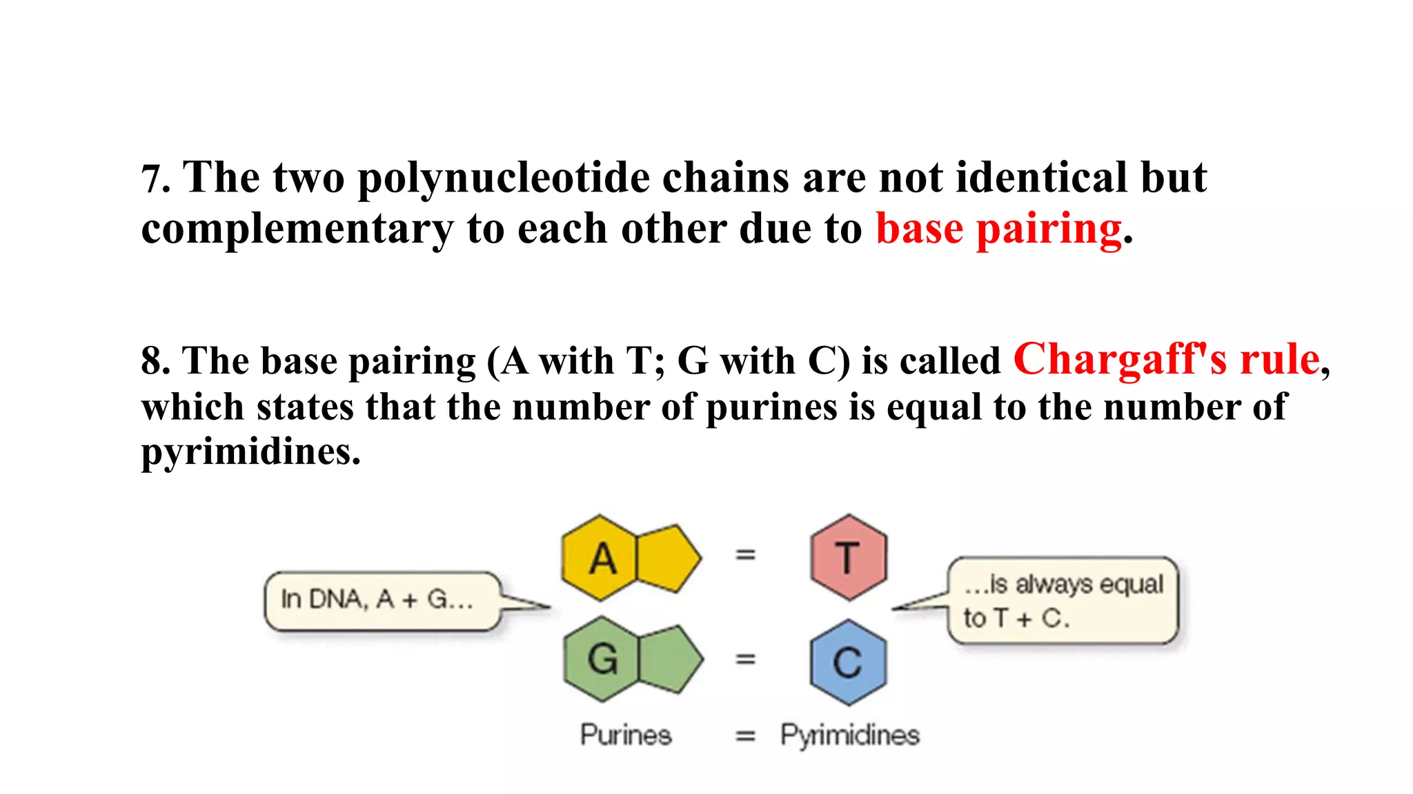 7. The two polynucleotide chains are not identical but
complementary to each other due to base pairing.
8. The base pairing (A with T; G with C) is called Chargaff's rule,
which states that the number of purines is equal to the number of
pyrimidines.
 