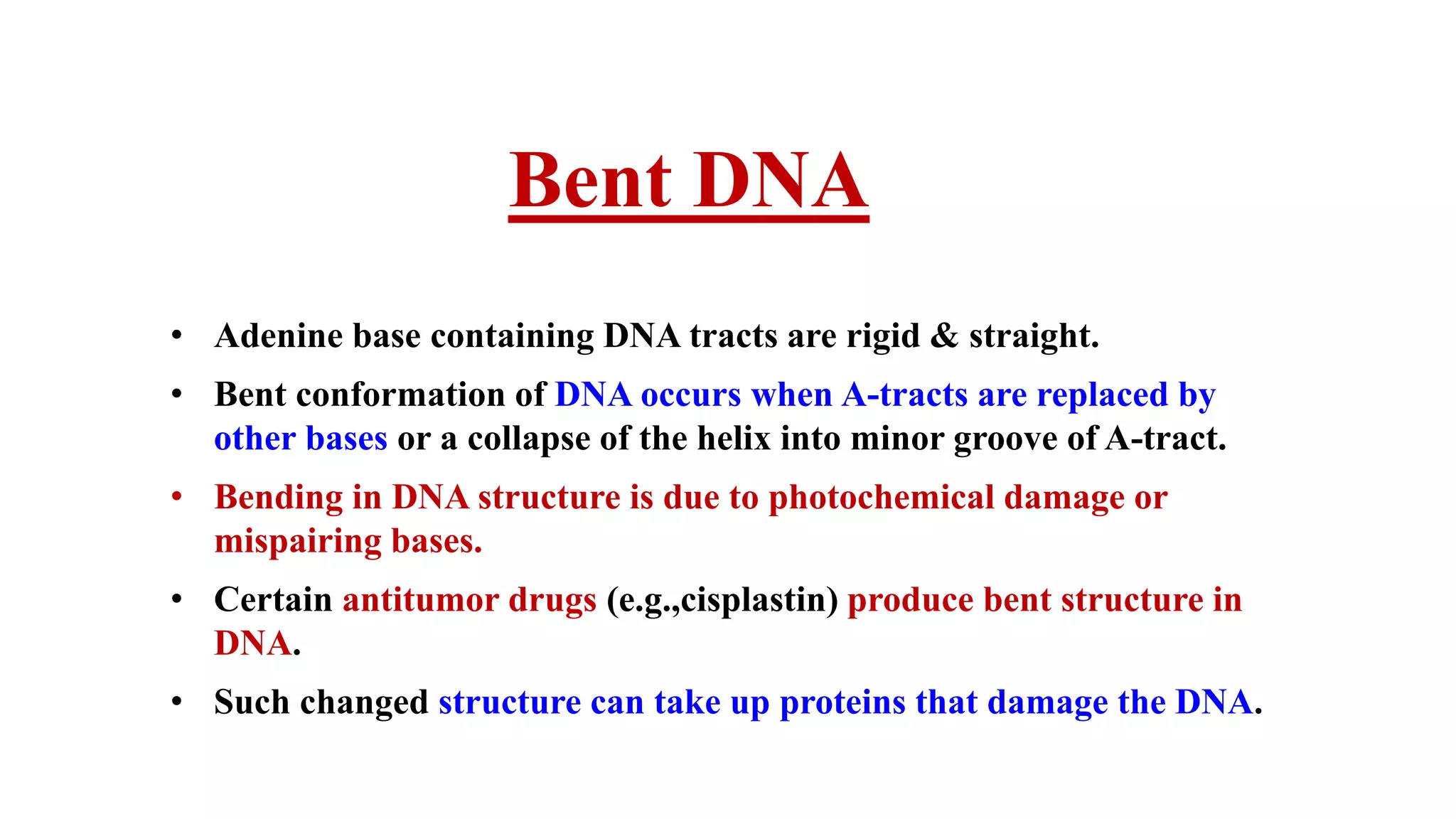 Bent DNA
• Adenine base containing DNA tracts are rigid & straight.
• Bent conformation of DNA occurs when A-tracts are replaced by
other bases or a collapse of the helix into minor groove of A-tract.
• Bending in DNA structure is due to photochemical damage or
mispairing bases.
• Certain antitumor drugs (e.g.,cisplastin) produce bent structure in
DNA.
• Such changed structure can take up proteins that damage the DNA.
 