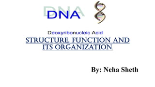 By: Neha Sheth
structure, Function and
its organization.
 