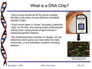 DNA Chip | PPT