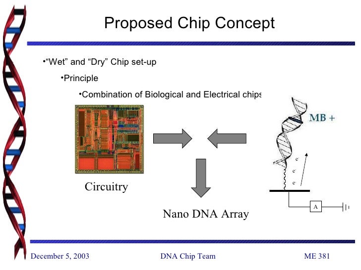 DNA Chip