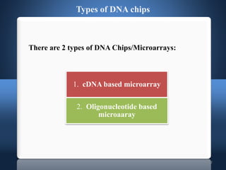 12
There are 2 types of DNA Chips/Microarrays:
Types of DNA chips
1. cDNA based microarray
2. Oligonucleotide based
microaaray
 