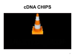 cDNA CHIPS
13
 