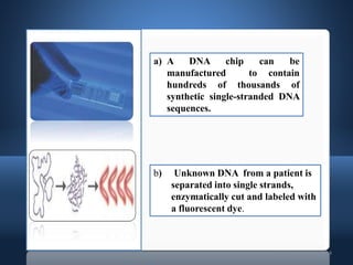 4
a) A DNA chip can be
manufactured to contain
hundreds of thousands of
synthetic single-stranded DNA
sequences.
b) Unknown DNA from a patient is
separated into single strands,
enzymatically cut and labeled with
a fluorescent dye.
 