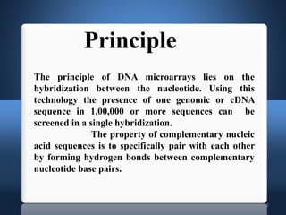 6
Principle
The principle of DNA microarrays lies on the
hybridization between the nucleotide. Using this
technology the presence of one genomic or cDNA
sequence in 1,00,000 or more sequences can be
screened in a single hybridization.
The property of complementary nucleic
acid sequences is to specifically pair with each other
by forming hydrogen bonds between complementary
nucleotide base pairs.
 