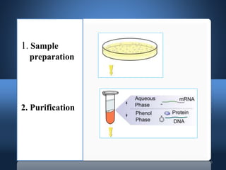 9
1. Sample
preparation
2. Purification
 