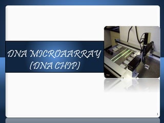 1
DNA MICROAARRAY
(DNA CHIP)
 