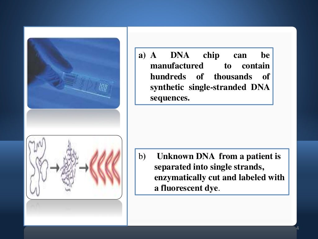 Dna chips
