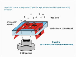 free label
Imaging
of surface-confined fluorescence
excitation of bound label
CCD camera
microarray
on chip
 
