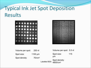 Volume per spot: 250 nl
Spot size: 1100 µm
Spot density: 70/cm2
Volume per spot: 0.5 nl
Spot size: 115
µm
Spot density:
4800/cm2Labelled BSA
 