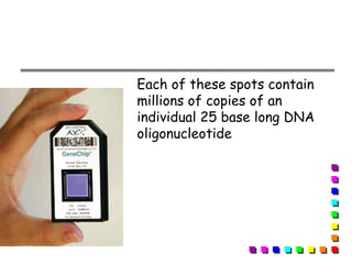Each of these spots contain
millions of copies of an
individual 25 base long DNA
oligonucleotide
 