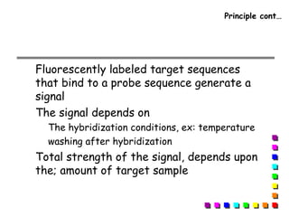 Principle cont…
Fluorescently labeled target sequences
that bind to a probe sequence generate a
signal
The signal depends on
The hybridization conditions, ex: temperature
washing after hybridization
Total strength of the signal, depends upon
the; amount of target sample
 