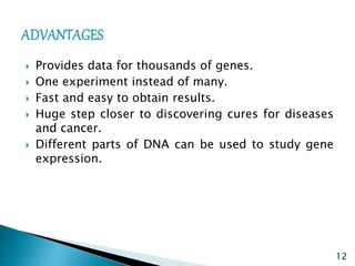 Dna chips and microarrays | PPTX