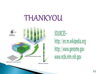 Dna chips and microarrays | PPTX