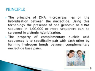 Dna chips and microarrays | PPTX