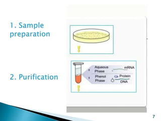 Dna chips and microarrays | PPTX
