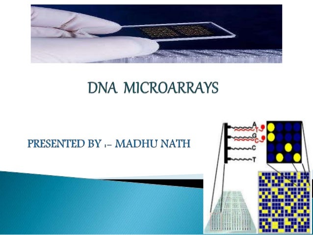 arcadian microarray technologies inc case Description arcadian microarray technologies, inc in august 2005, negotiations neared conclusion for a private equity investment by sierra capital partners in. arcadian microarray technologies inc case Description arcadian microarray technologies, inc in august 2005, negotiations neared conclusion for a private equity investment by sierra capital partners in.