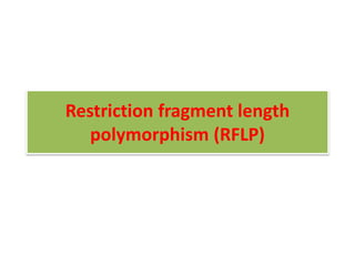 Restriction fragment length
polymorphism (RFLP)
 