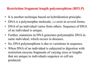 Restriction fragment length polymorphism (RFLP)
• It is another technique based on hybridization principle.
• DNA is a polymorphic molecule, i.e.exist in several forms.
• DNA of an individual varies from others. Sequence of DNA
of an individual is unique.
• Further, mutations in DNA generates polymorphic DNA in
same individual, which occurs in diseases.
• So, DNA polymorphism is due to variations in sequence.
• When DNA of an individual is subjected to digestion with
restriction enzyme fragments of varying sizes or lengths
that are unique to individuals sequence or cell are
produced.
 