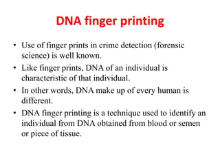 DNA finger printing
• Use of finger prints in crime detection (forensic
science) is well known.
• Like finger prints, DNA of an individual is
characteristic of that individual.
• In other words, DNA make up of every human is
different.
• DNA finger printing is a technique used to identify an
individual from DNA obtained from blood or semen
or piece of tissue.
 