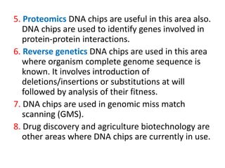 Dna chips, RFLPs & dna fingerprint