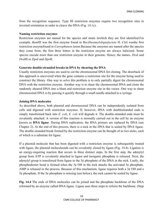 DNA CLONING


from the recognition sequence. Type III restriction enzymes require two recognition sites in
inverted orientation in order to cleave the DNA (Fig. 14.1c).

Naming restriction enzymes
Restriction enzymes are named for the species and strain inwhich they are first identified.For
example, BamHI was the first enzyme found in Bacillusamyloliquefaciens H. ClaI wasthe first
restriction enzymefound in Caryophanon latum.Because the enzymes are named after the species
they come from, the first three letters in the restriction enzyme are always italicized. Some
species encode more than one restriction enzyme in their genome. Hence, the names, DraI and
DraIII or DpnI and DpnII.

Generate double-stranded breaks in DNA by shearing the DNA
Usually restriction enzymes are used to cut the chromosomal DNA for cloning. The drawback of
this approach is uncovered when the gene contains a restriction site for the enzyme being used to
construct the library. One way to solve this problem is to only partially digest the chromosomal
DNA with the restriction enzyme. Another way is to shear the chromosomal DNA and clone the
randomly sheared DNA into a blunt end restriction enzyme site in the vector. One way to shear
chromosomal DNA is by passing it quickly through a small needle attached to a syringe.

Joining DNA molecules
As described above, both plasmid and chromosomal DNA can be independently isolated from
cells and digested with restriction enzymes. If, however, DNA with doublestranded ends is
simply transformed back into E. coli, E. coli will degrade it. The double-stranded ends must be
covalently attached. A version of this reaction is normally carried out in the cell by an enzyme
known as DNA ligase. During DNA replication, the RNA primers are replaced by DNA (see
Chapter 2). At the end of this process, there is a nick in the DNA that is sealed by DNA ligase.
The double-stranded break formed by the restriction enzyme can be thought of as two nicks, each
of which is a substrate for ligase.

If a plasmid molecule that has been digested with a restriction enzyme is subsequently treated
with ligase, the plasmid moleculeends can be covalently closed by ligase (Fig. 14.4). Ligation is
an energy-requiring reaction that occurs in three distinct steps. In the first step, the adenylyl
group from ATP is covalently attached to ligase and inorganic phosphate is released. Next, the
adenylyl group is transferred from ligase to the 5¢ phosphate of the DNA in the nick. Lastly, the
phosphodiester bond is formed when the 3¢ OH in the nick attacks the activated 5¢ phosphate.
AMP is released in the process. Because of this mechanism, ligase requires both a 3¢ OH and a
5¢ phosphate. If the 5¢ phosphate is missing (see below), the nick cannot be sealed by ligase.

Fig. 14.4 The ends of DNA molecules can be joined and the phosphate backbone of the DNA
reformed by an enzyme called DNA ligase. Ligase uses three steps to reform the backbone. (Step


                                             14
                                  CMR COLLEGE OF PHARMACY
 