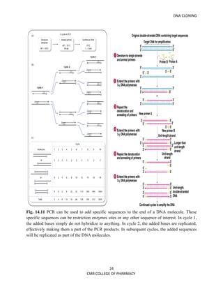 DNA CLONING




Fig. 14.11 PCR can be used to add specific sequences to the end of a DNA molecule. These
specific sequences can be restriction enzymes sites or any other sequence of interest. In cycle 1,
the added bases simply do not hybridize to anything. In cycle 2, the added bases are replicated,
effectively making them a part of the PCR products. In subsequent cycles, the added sequences
will be replicated as part of the DNA molecules.




                                             24
                                  CMR COLLEGE OF PHARMACY
 