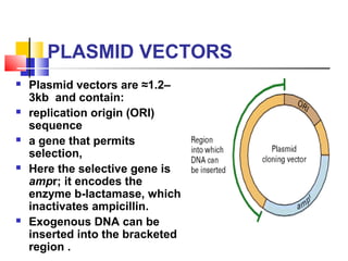 SELECTIVE MARKER
 Selective marker is required for
maintenance of plasmid in the cell.
 Because of the presence of the
s...
