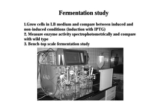 1.Grow cells in LB medium and compare between induced and
1.Grow cells in LB medium and compare between induced and
non
non-
-induced conditions (induction with IPTG)
induced conditions (induction with IPTG)
2. Measure enzyme activity
2. Measure enzyme activity spectrophotometrically
spectrophotometrically and compare
and compare
with wild type
with wild type
3. Bench
3. Bench-
-top scale fermentation study
top scale fermentation study
Fermentation study
Fermentation study
 