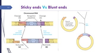 Sticky ends Vs Blunt ends
Saturday, June 11,
2016
Rajesh Chaudhary
11
 