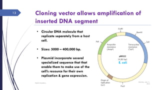 Cloning vector allows amplification of
inserted DNA segment
Saturday, June 11,
2016
Rajesh Chaudhary
13
• Circular DNA molecule that
replicate separately from a host
cell.
• Sizes: 5000 – 400,000 bp.
• Plasmid incorporate several
specialized sequence that that
enable them to make use of the
cell’s resource for their own
replication & gene expression.
E. coli
 