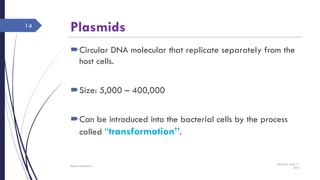 Plasmids
Circular DNA molecular that replicate separately from the
host cells.
Size: 5,000 – 400,000
Can be introduced into the bacterial cells by the process
called “transformation”.
Saturday, June 11,
2016
Rajesh Chaudhary
14
 