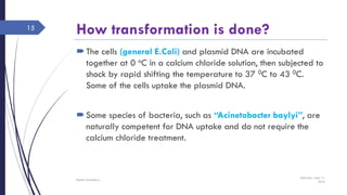 How transformation is done?
The cells (general E.Coli) and plasmid DNA are incubated
together at 0 oC in a calcium chloride solution, then subjected to
shock by rapid shifting the temperature to 37 0C to 43 0C.
Some of the cells uptake the plasmid DNA.
Some species of bacteria, such as “Acinetobacter baylyi”, are
naturally competent for DNA uptake and do not require the
calcium chloride treatment.
Saturday, June 11,
2016
Rajesh Chaudhary
15
 
