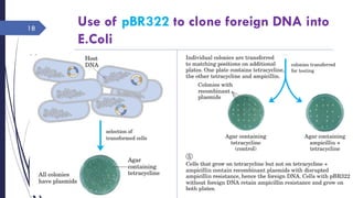 Use of pBR322 to clone foreign DNA into
E.Coli
Saturday, June 11,
2016
Rajesh Chaudhary
18
 