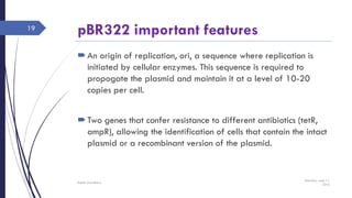 pBR322 important features
An origin of replication, ori, a sequence where replication is
initiated by cellular enzymes. This sequence is required to
propogate the plasmid and maintain it at a level of 10-20
copies per cell.
Two genes that confer resistance to different antibiotics (tetR,
ampR), allowing the identification of cells that contain the intact
plasmid or a recombinant version of the plasmid.
Saturday, June 11,
2016
Rajesh Chaudhary
19
 