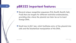 pBR322 important features
Several unique recognition sequences (PstI, EcorRI, BamHI, SalI,
PvuII) that are targets for different restriction endonucleases,
providing sites where the plasmid can later be cut to insert
foreign DNA.
Small size (4,361 bp), which facilitates entry of the plasmid into
cells and the biochemical manipulation of the DNA.
Saturday, June 11,
2016
Rajesh Chaudhary
20
 