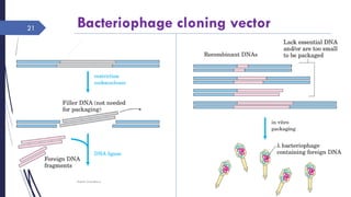 Bacteriophage cloning vector
Saturday, June 11,
2016
Rajesh Chaudhary
21
 