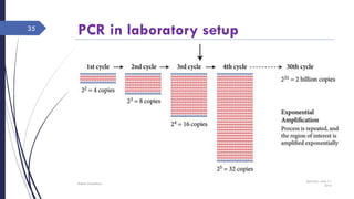 PCR in laboratory setup
Saturday, June 11,
2016
Rajesh Chaudhary
35
 