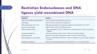 Restriction Endonucleases and DNA
ligases yield recombinant DNA
Saturday, June 11,
2016
Rajesh Chaudhary
4
 
