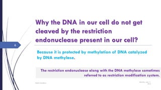 Because it is protected by methylation of DNA catalyzed
by DNA methylase.
Saturday, June 11,
2016
Rajesh Chaudhary
6
The restriction endonuclease along with the DNA methylase sometimes
referred to as restriction modification system.
 