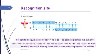 Recognition site
Saturday, June 11,
2016
Rajesh Chaudhary
8
Thousands of restriction endonuclease has been identified so far and one restriction
endonuclease can identify more than 100 of DNA sequence to be cleaved.
Recognition sequence are usually 4 to 6 bp long and are palindromic in nature.
 